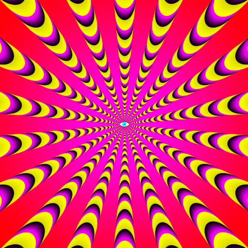 MEDICINA ONLINE ILLUSIONE OTTICA IMMAGINE ESEMPIO