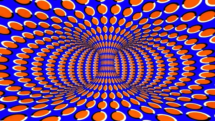 MEDICINA ONLINE ILLUSIONE OTTICA IMMAGINE ESEMPIO
