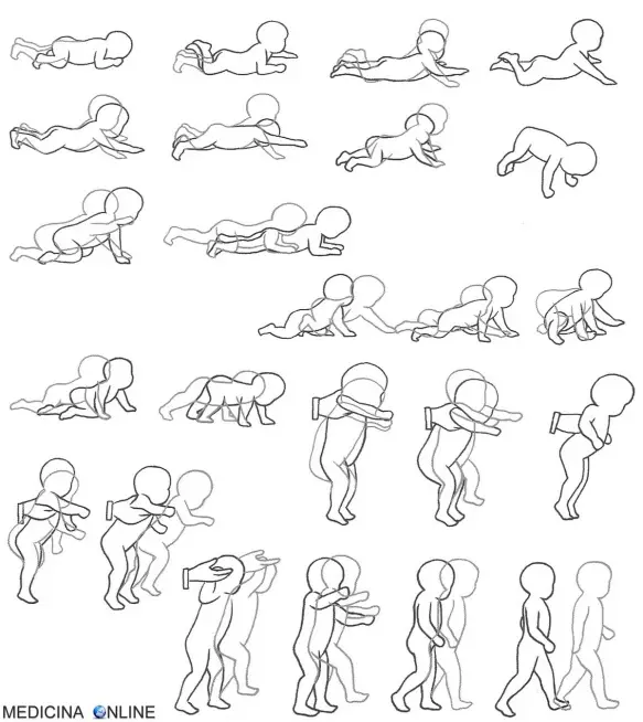 MEDICINA ONLINE SVILUPPO MOTORIO DEL BAMBINO BIMBO LATTANTE CAMMINARE CARPONARE GATTONAERE ETA CERVELLO MOVIMENTO PRENDERE GATTO SCIVOLARE GAMBE BRACCIA RITARDO AIUTO CRESCITA MUSCOLI.jpg