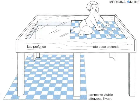MEDICINA ONLINE NEONATO BIMBO BAMBINO PERCEZIONE VISTA PROFONDITA EFFETTO OTTCO strapiombo visivo.jpg
