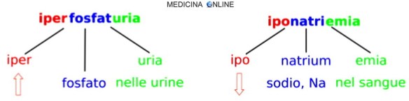 MEDICINA ONLINE NOMI MEDICI ETIMOLOGIA LETTERE GRECHE LATINE NOMENCLATURA COMPOSITA ORIGINE DEI TERMINI MEDICI STORIA DIZIONARIO.jpg