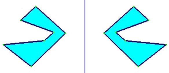 MEDICINA ONLINE SIMMETRIA ASSIALE SPIEGAZIONE.jpg