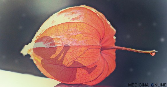 MEDICINA ONLINE GRAVIDANZA ABORTO FETO EMBRIONE SPONTANEO PROVOCATO VOLONTARIO TERAPEUTICO LEGGE 184 1978 DONNA DECIDE COPPIA INCINTA MORTE RASCHIAMENTO PANCIONE LEGALE O NO.jpg