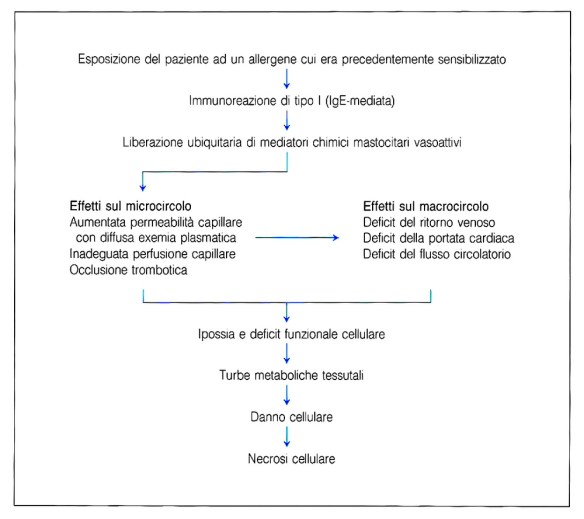MEDICINA ONLINE sequenza degli eventi eziopatogenetici e dei momenti fisiopatologici propri dello shock allergico anafilattico.jpg
