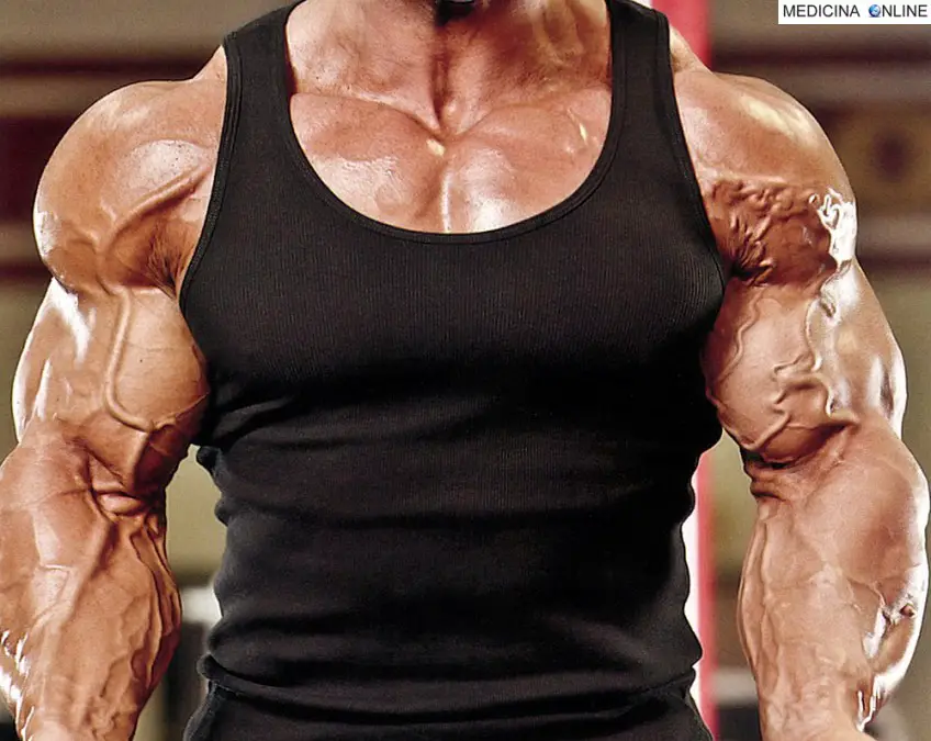 MEDICINA ONLINE DOPING BODYDUILDING VASCOLARIZZAZIONE IMMAGINE.