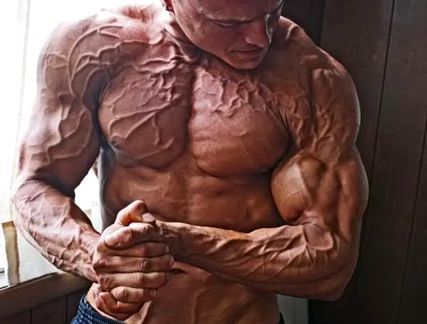 MEDICINA ONLINE DOPING BODYDUILDING VASCOLARIZZAZIONE IMMAGINE.