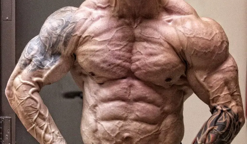 MEDICINA ONLINE DOPING BODYDUILDING VASCOLARIZZAZIONE IMMAGINE.