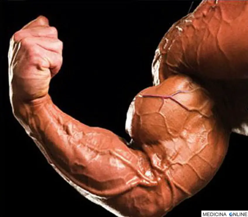 MEDICINA ONLINE DOPING BODYDUILDING VASCOLARIZZAZIONE IMMAGINE.