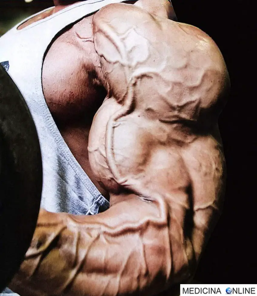 MEDICINA ONLINE DOPING BODYDUILDING VASCOLARIZZAZIONE IMMAGINE.