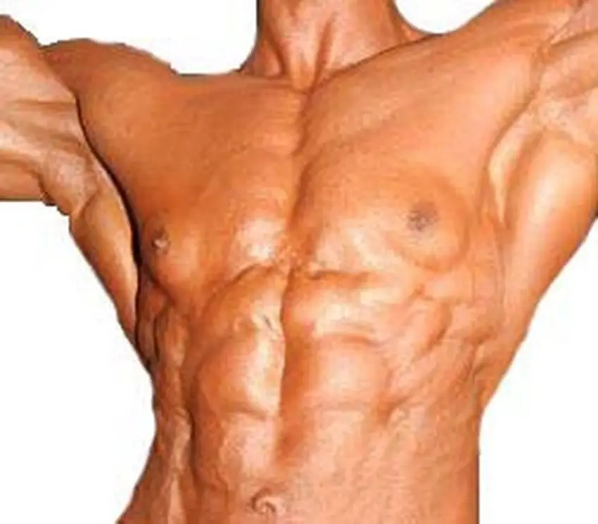 MEDICINA ONLINE DOPING BODYDUILDING VASCOLARIZZAZIONE IMMAGINE.