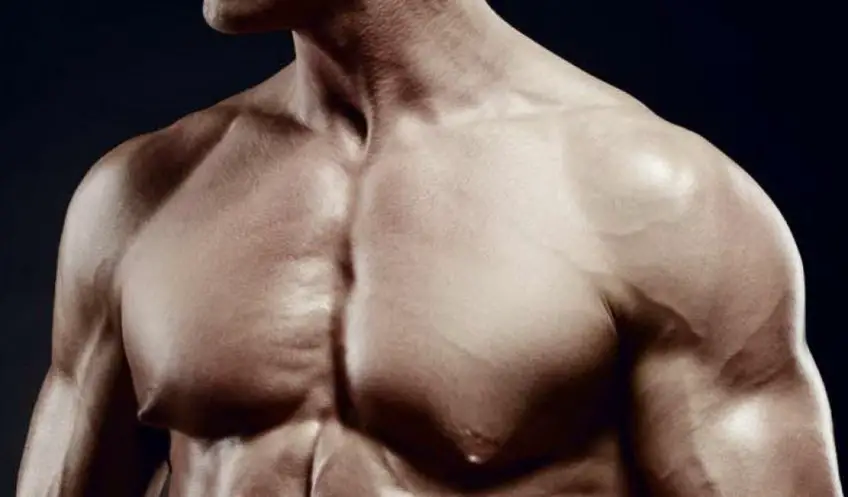 MEDICINA ONLINE GINECOMASTIA DOPING BODY BUILDING IMMAGINE.