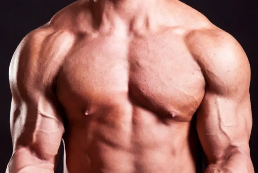 MEDICINA ONLINE GINECOMASTIA DOPING BODY BUILDING IMMAGINE.