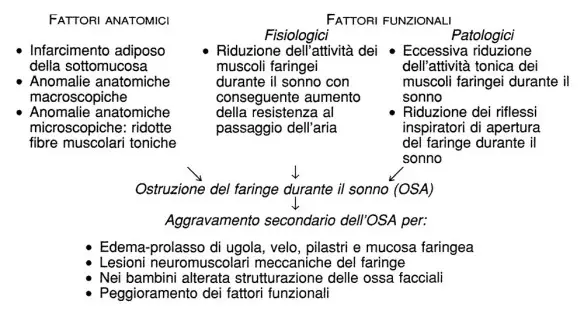 MEDICINA ONLINE Fattori primitivi e secondari favorenti l'OSA.jpg
