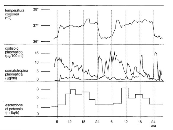 MEDICINA ONLINE SONNO RITMI BIOLOGICI METABOLISMO ORMONI SOMATOTROPINA GH POTASSIO TEMPERATURA CORPOREA CORTISOLO