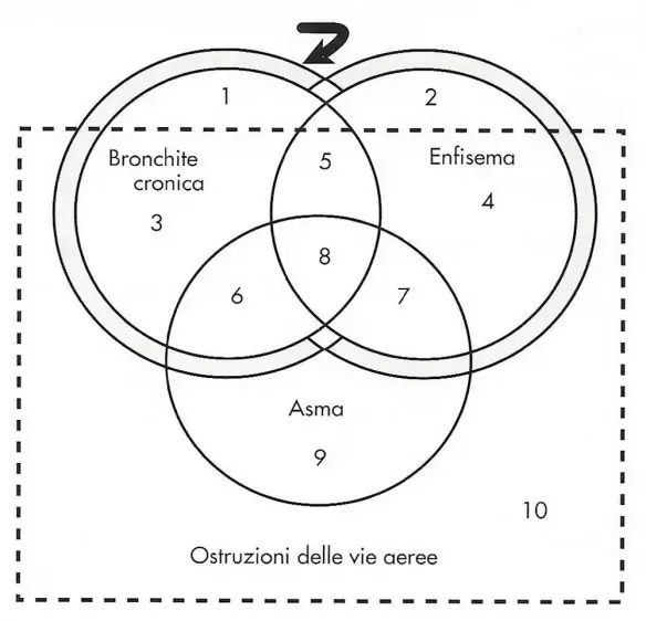 MEDICINA ONLINE Rappresentazione schematica della pneumopatia cronica ostruttiva diagramma non proporzionale di Venn mostra le sottoclassi di paziente con bronchite cronica enfisema polmonare asma bronchiale