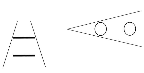 MEDICINA ONLINE EFFETTO PONZO ILLUSIONE VISIVA OTTICA LUNGHEZZA LINEE PERCEZIONE FUNZIONI COGNITIVE VISTA.jpg