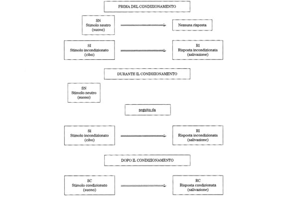 MEDICINA ONLINE CONDIZIONAMENTO CLASSICO RISPONDENTE PAVLOV APPRENDIMENTO COMPORTAMENTO PSICOLOGIA.jpg