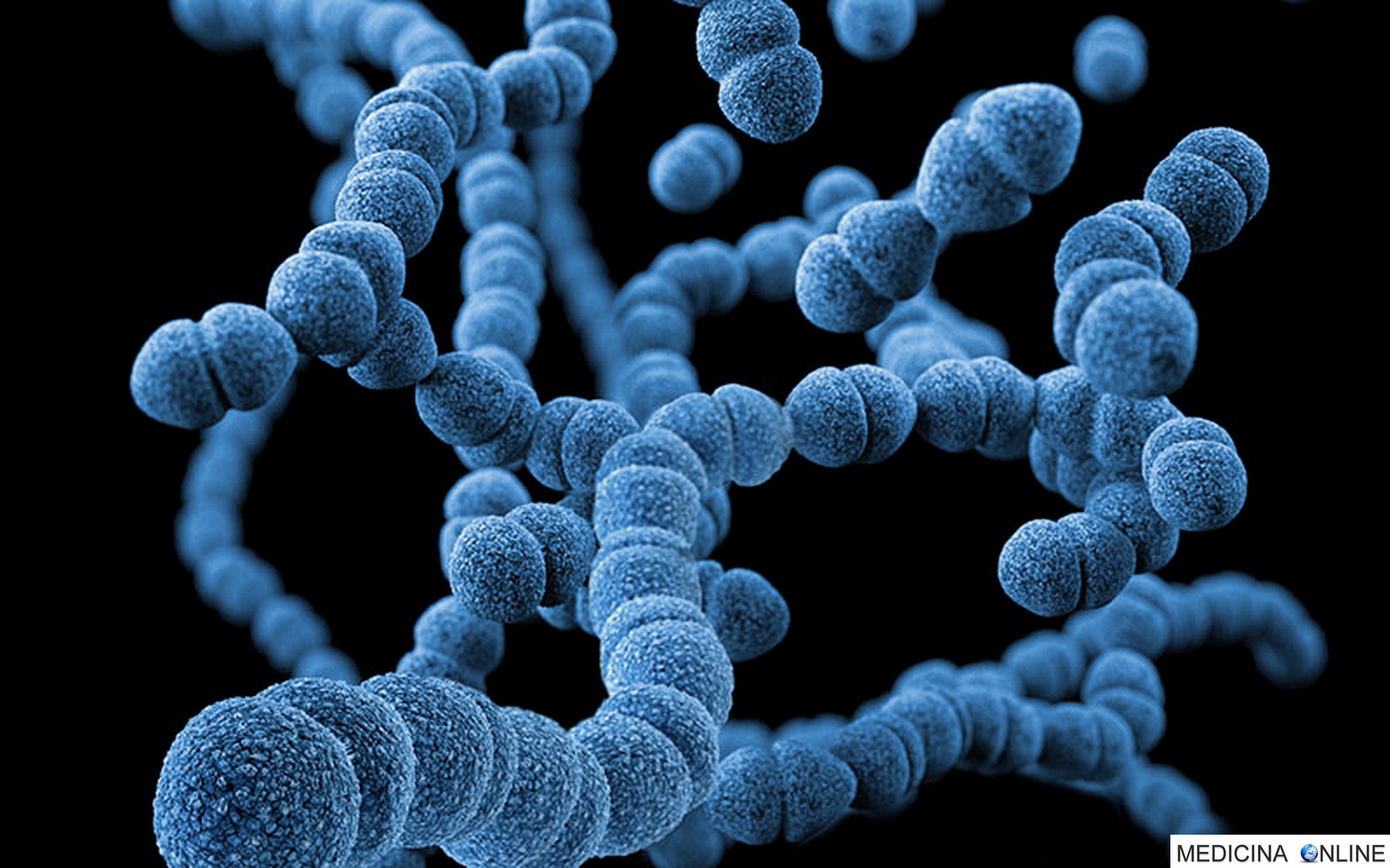 DOTT. EMILIO ALESSIO LOIACONO MEDICO CHIRURGO MEDICINA ONLINE BATTERIO PNEUMOCOCCO STREPTOCOCCO PNEUMONIAE LABORATORIO RICERCA SCIENZIATO MICROSCOPIO VETRINO BIOLOGIA MICROBIOLOGIA VIRUS LABORATORY