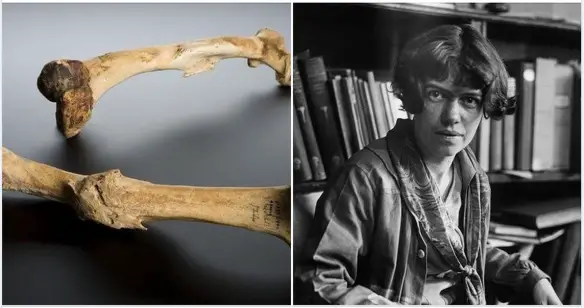 Medicina OnLine Emilio Alessio Loiacono Antropologa Margaret Mead studente osso rotto sano come segno di civiltà