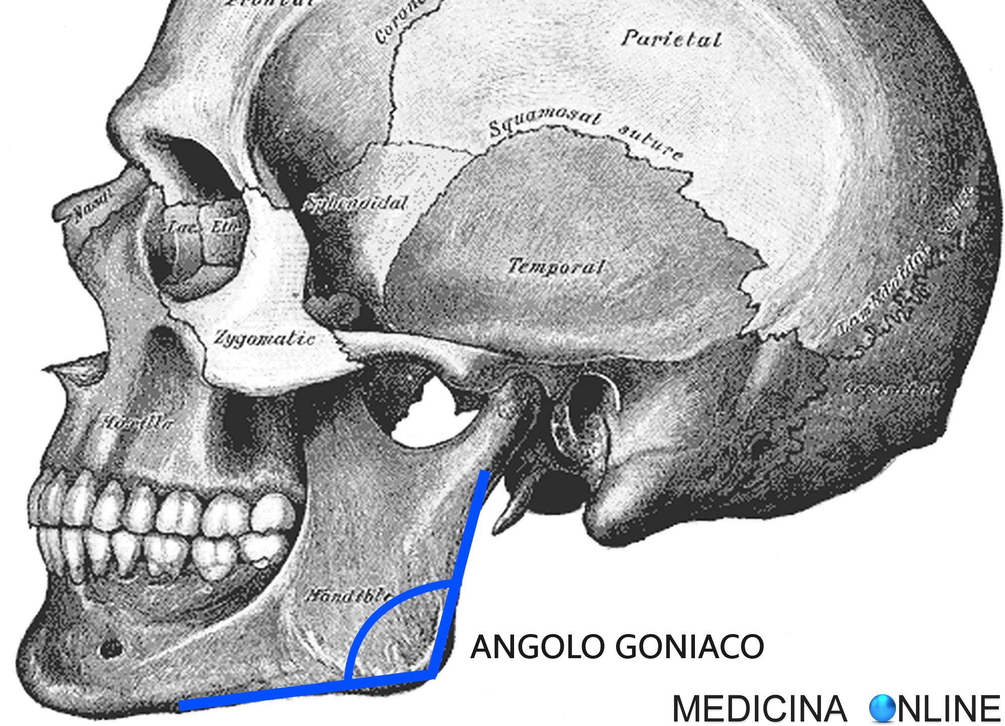 medicinaonline.co