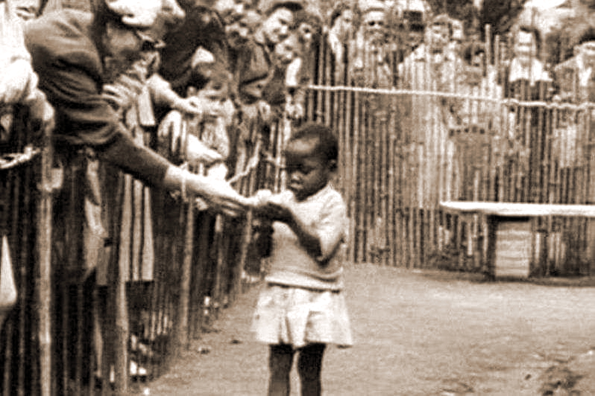 MEDICINA ONLINE EMILIO ALESSIO LOIACONO MEDICO CHIRURGO ZOO UMANO SHOW SPETTACOLO ANIMALI FREAK SHOW FENOMENI DA BARACCONE AFRICANI