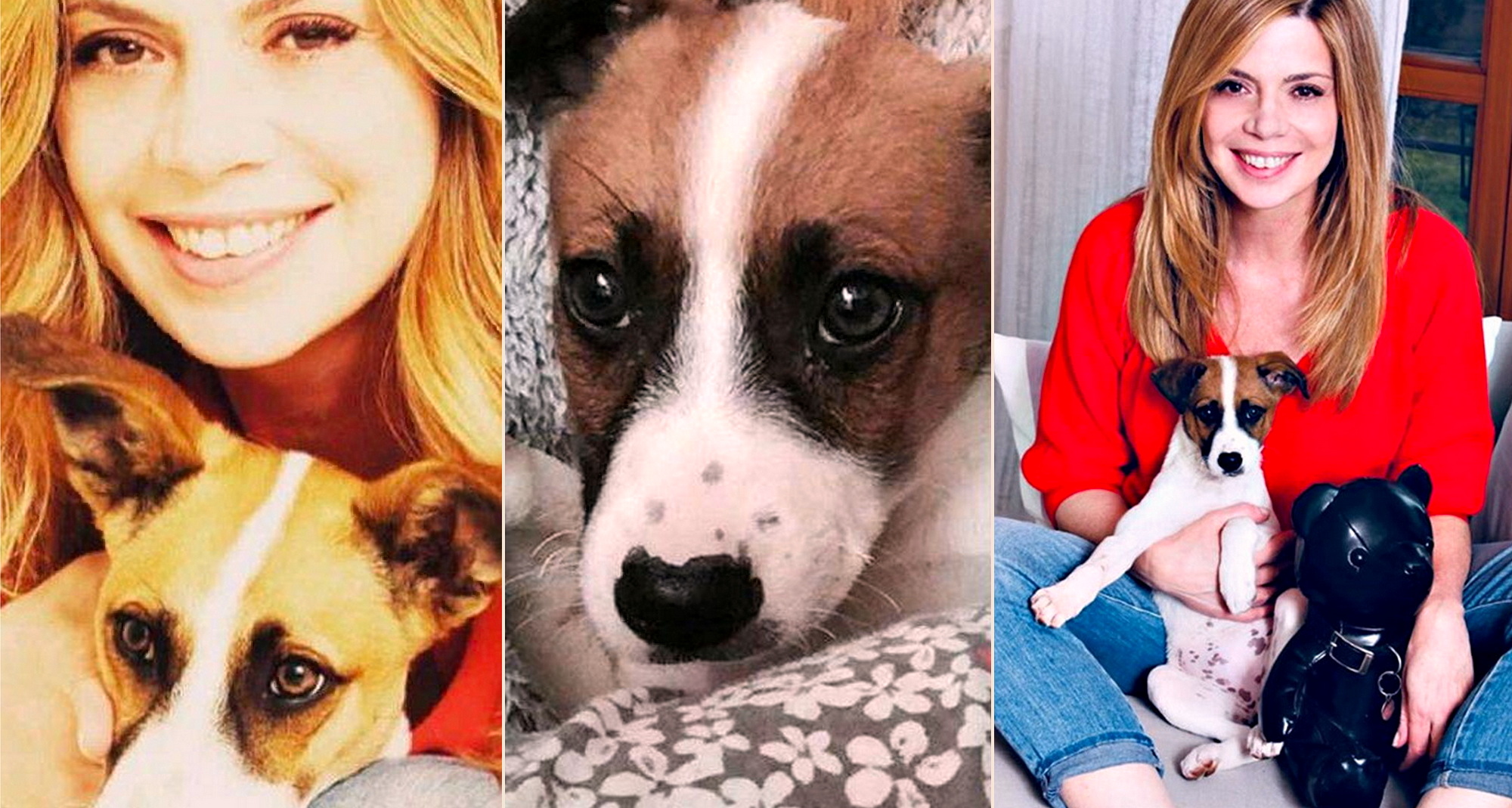 MEDICINA ONLINE EMILIO ALESSIO LOIACONO MEDICO CHIRURGO BENEDICTA BOCCOLI TUMORE AL SENO MAMMELLA CANCRO SCOPERTO CANE CAGNOLINA ANNUSAVA MAMMOGRAFIA VERISSIMO INTERVISTA