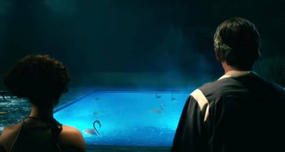 MEDICINA ONLINE EMILIO ALESSIO LOIACONO IL MONDO DIETRO DI TE SPIEGAZIONE DILUVIO DI INFORMAZIONI FENICOTTERI IN PISCINA PIOGGIA SIGNIFICATO ACQUA