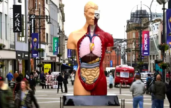 MEDICINA ONLINE EMILIO ALESSIO LOIACONO MEDICO CHIRURGO HYMN DAMIEN HIRST STATUA ANATOMIA UOMO MASCHIO