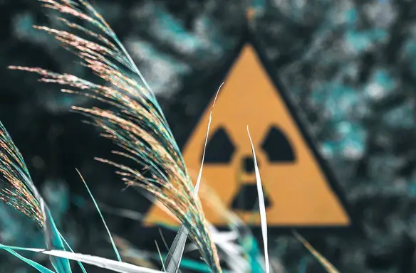 MEDICINA ONLINE EMILIO ALESSIO LOIACONO ESPLOSIONE ATOMICA BOMBA ATOMICA FUNGO ATOMICO NEL MARE RADIAZIONI AVVELENAMENTO MORTE GUERRA CENTRALE NUCLEARE DISASTRO CHERNOBYL CARTELLO STRADALE PRIPYAT