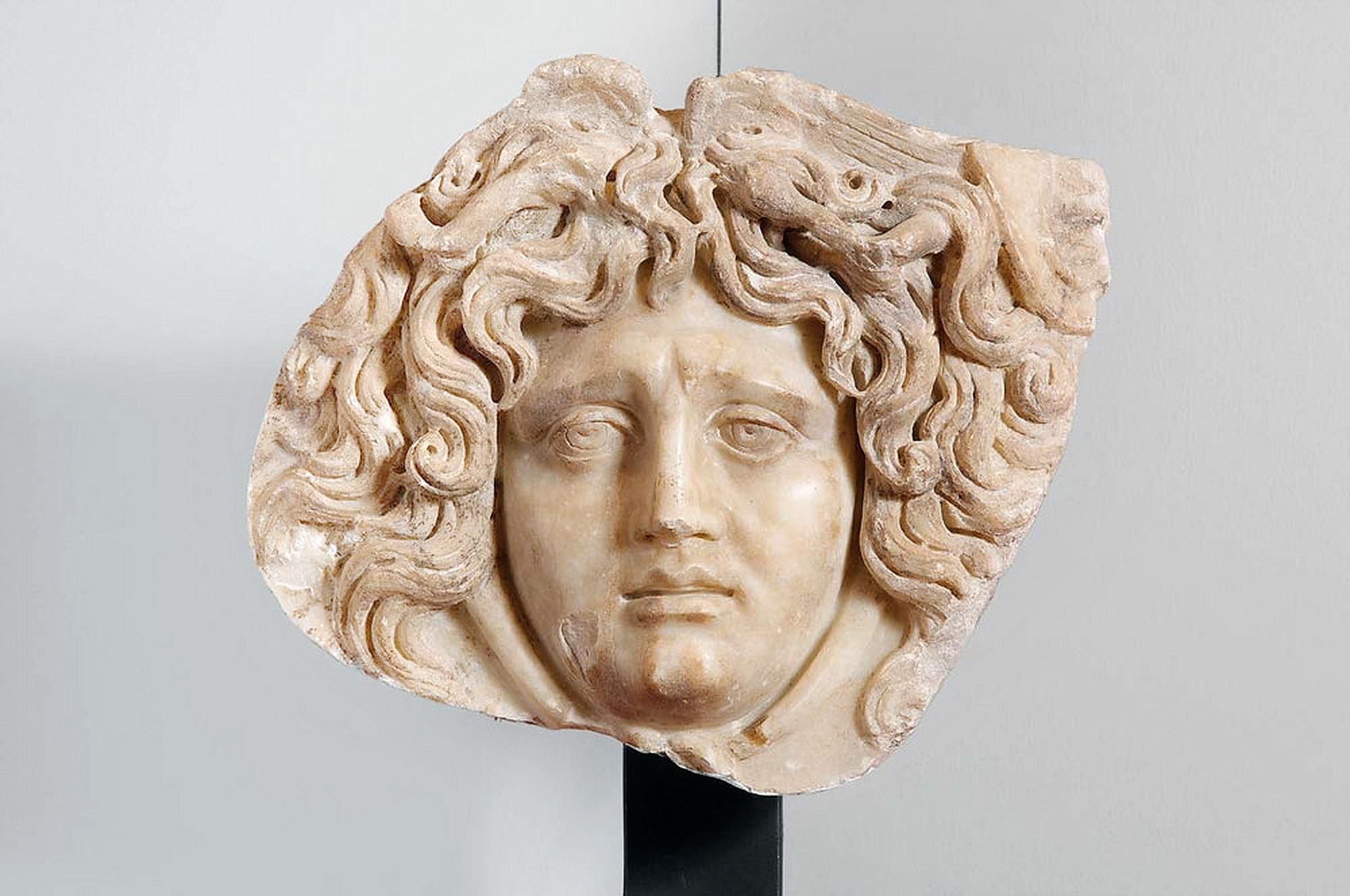 MEDICINA ONLINE COMPLESSO DI MEDUSA